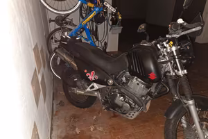 Suzuki XF Freewind 