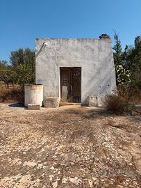 Terreno edificabile con lamia antica