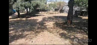 Esclusivo terreno edificabile di 1.200 mq