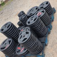 Dischi foro 50 palestra 