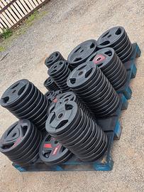 Dischi foro 50 palestra 