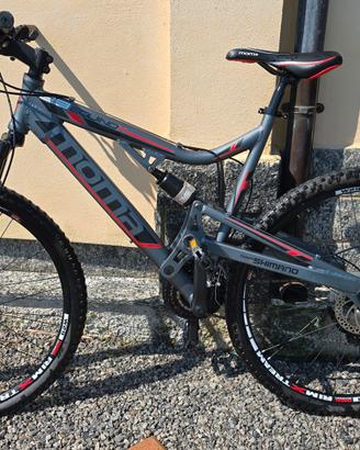 Mountain bike 29"