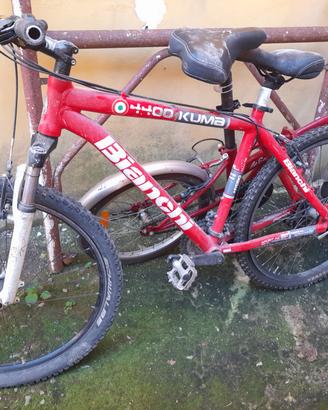 bici mtb bianchi 