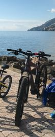 MTB Armony Sestrieri evolution