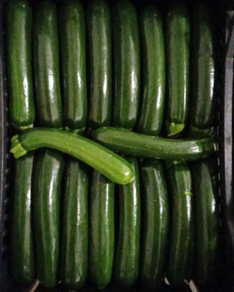 frutta e verdura giardino 