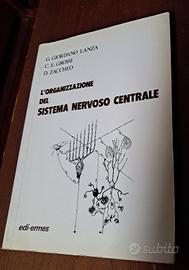 L'ORGANIZZAZIONE DEL SISTEMA NERVOSO CENTRALE 