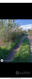 Terreno agricolo stradale Acate