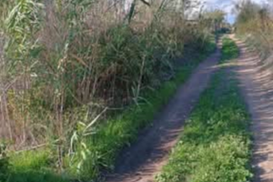 Terreno agricolo stradale Acate