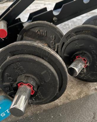 Panca per palestra con manubri e pesi