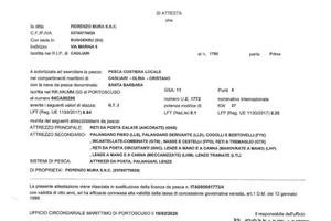 Licenza barca da pesca