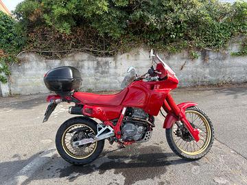 Honda Dominator