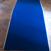 Scivolo per sedia a rotelle