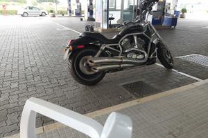 Harley-Davidson Vrod