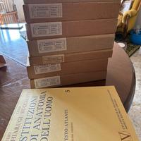 Chiarugi Bucciante Anatomia