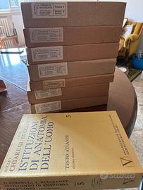 Chiarugi Bucciante Anatomia