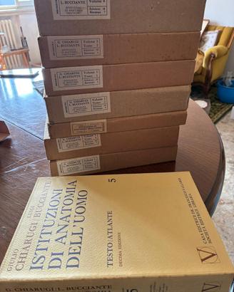 Chiarugi Bucciante Anatomia