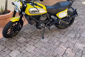 Ducati scrambler flat track