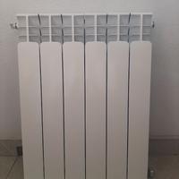 Termosifone nuova florida