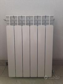 Termosifone nuova florida