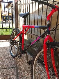 bicicletta 
