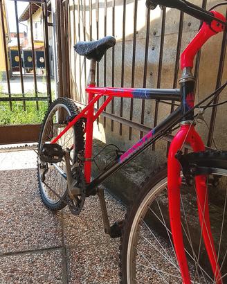 bicicletta 