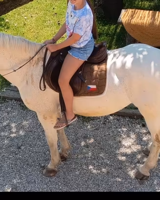 Cavallo