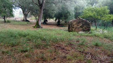 Terreno zona san antonio a 3 km camerota centro