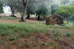 Terreno zona san antonio a 3 km camerota centro