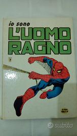 Io sono l'uomo ragno