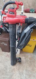 soffiatore aspiratore Einhell