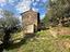 Immagine 10