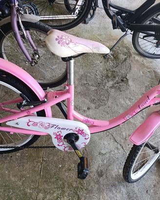 bicicletta 