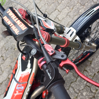 Gas gas txt 300 GP 2019