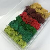 Set Materiale Scenico Modellismo Green Stuff World