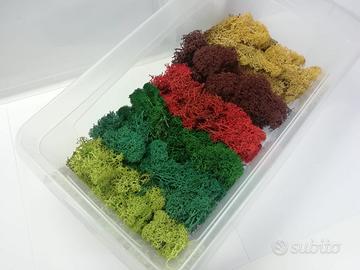 Set Materiale Scenico Modellismo Green Stuff World