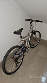 Bicicletta Mountain Bike