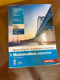 Matematica azzurro 1