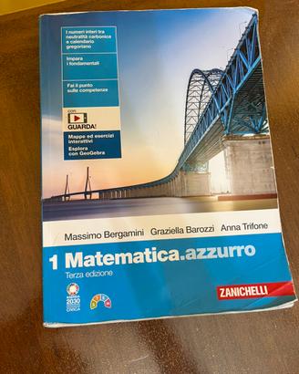 Matematica azzurro 1
