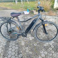 bici elettrica 