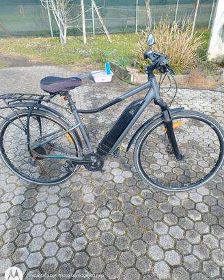 bici elettrica 