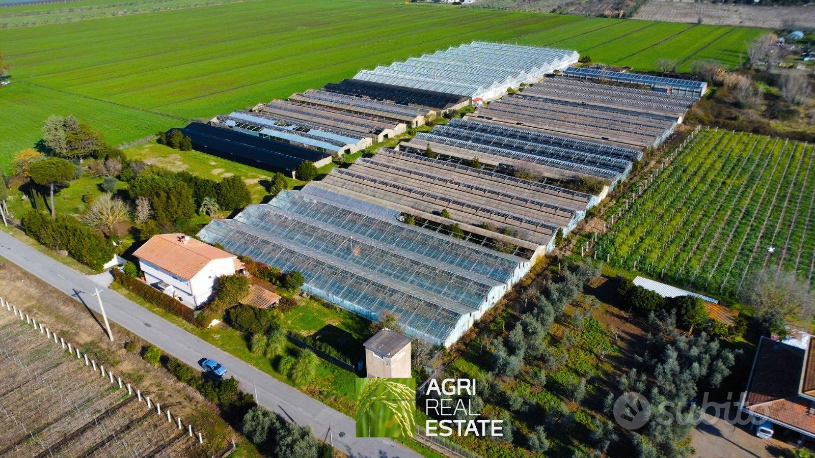 Azienda florovivaistica con casa ideale per eventi - Vista 3