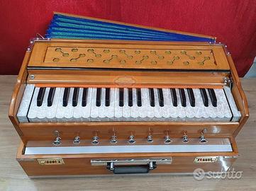 Harmonium kirtan
