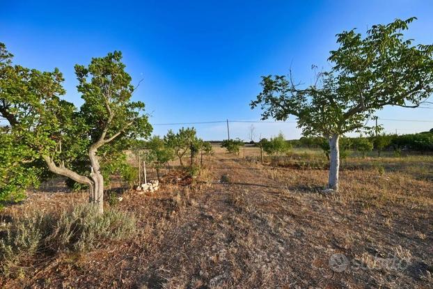 Terreno agricolo a Putignano