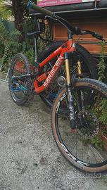Bici downhill Saracen