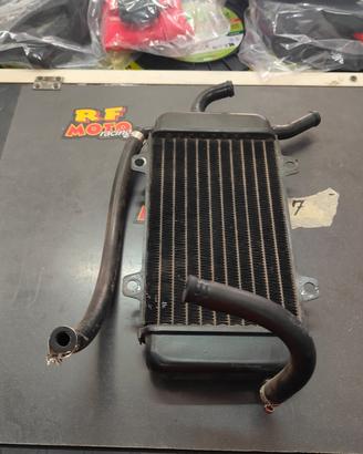 RADIATORE Impianto Di Raffreddamento Zip Sp 