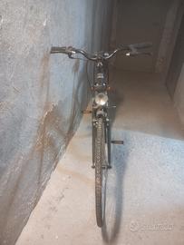 bici adulti 