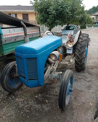 trattore massey ferguson te20 con sega circola 