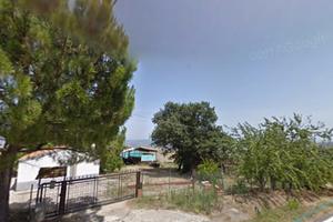 Terreni con bosco uliveto e fabbricati