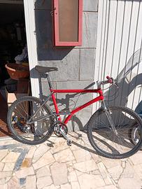 MTB matis