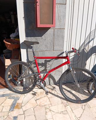 MTB matis
